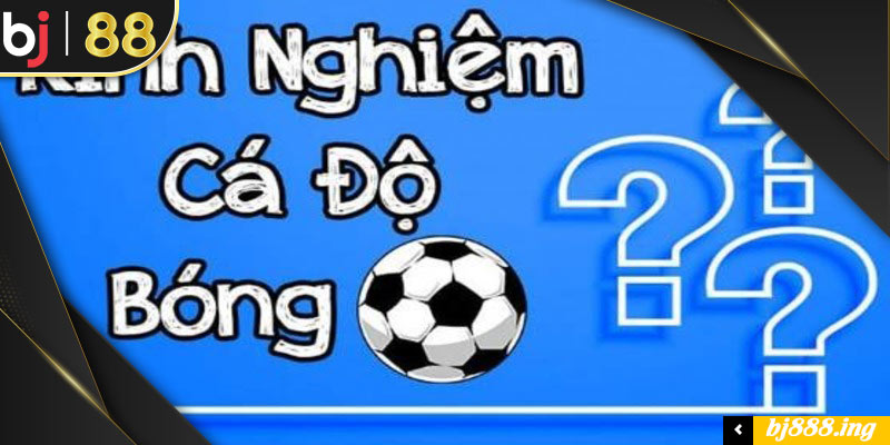 Những bí quyết cá cược bóng đá đỉnh cao từ các chuyên gia